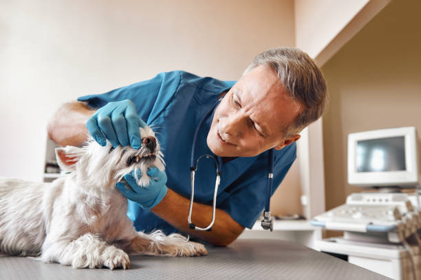 Best Emergency Gum Treatment in Mar Mac, NC